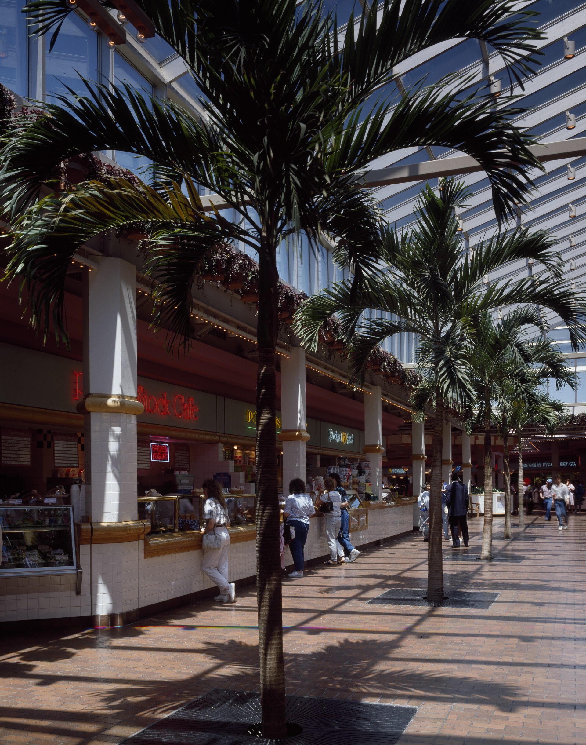 An indoor shopping mall with tall palms and colorful food counters
